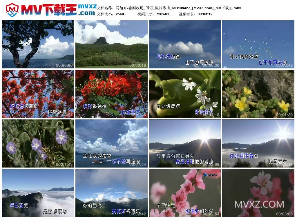 马旭东-悲剧收场_国语_流行歌曲_MB108427